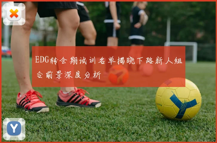 EDG转会期试训名单揭晓下路新人组合前景深度分析